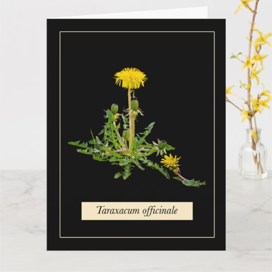 Dandelion botanical karte (Gelbe Blume)