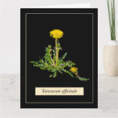 Dandelion botanical karte (Vorderseite)