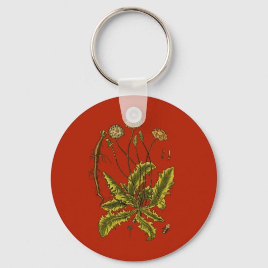 Dandelion Botanische Illustration Schlüsselanhänger (Vorderseite)