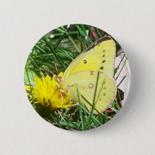 Dandelion Butterfly Button