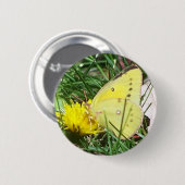 Dandelion Butterfly Button (Vorne & Hinten)