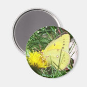 Dandelion Butterfly Magnet (Vorderseite/Rückseite)