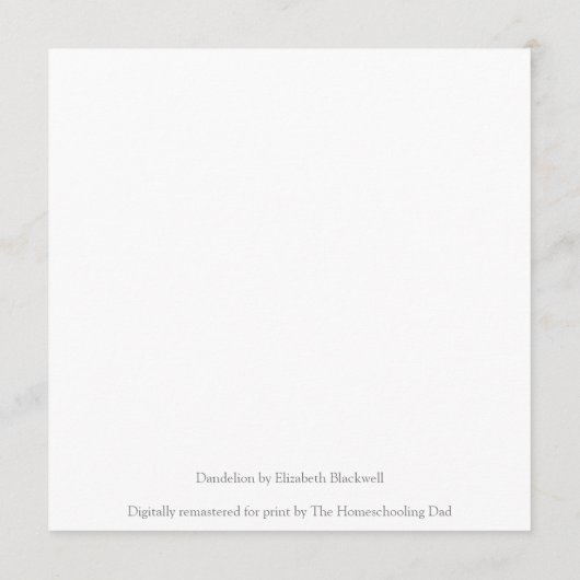 Dandelion by Elizabeth Blackwell (Rückseite)