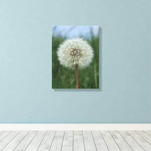 Dandelion Canvas Print Leinwanddruck (Insitu (Holzboden))