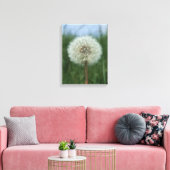 Dandelion Canvas Print Leinwanddruck (Insitu (Wohnzimmer))