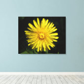 Dandelion Canvas Print Leinwanddruck (Insitu (Holzboden))