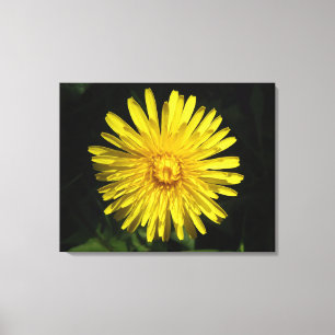 Dandelion Canvas Print Leinwanddruck