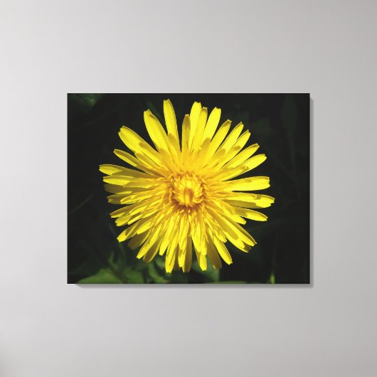 Dandelion Canvas Print Leinwanddruck (Vorderseite)