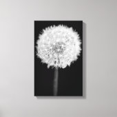 Dandelion Canvas Print Leinwanddruck (Vorderseite)