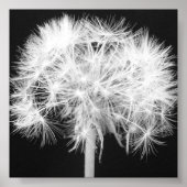 Dandelion Canvas Print Poster (Vorne)