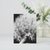 Dandelion Clock Postkarte (Stehend Vorderseite)