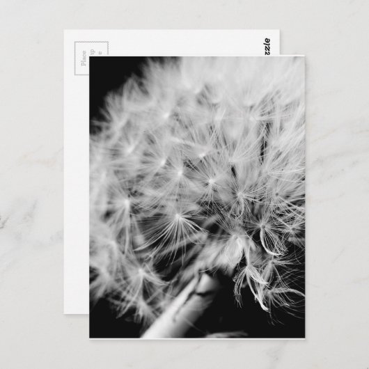 Dandelion Clock Postkarte (Vorne/Hinten)