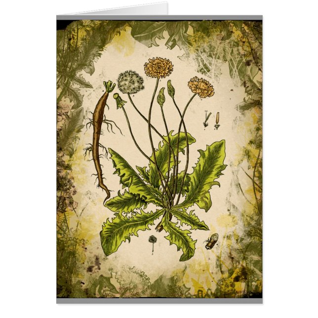 Dandelion Collage (Vorne)