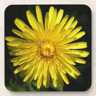 Dandelion Cork Untersetzer