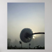 Dandelion Dawn Poster (Vorne)