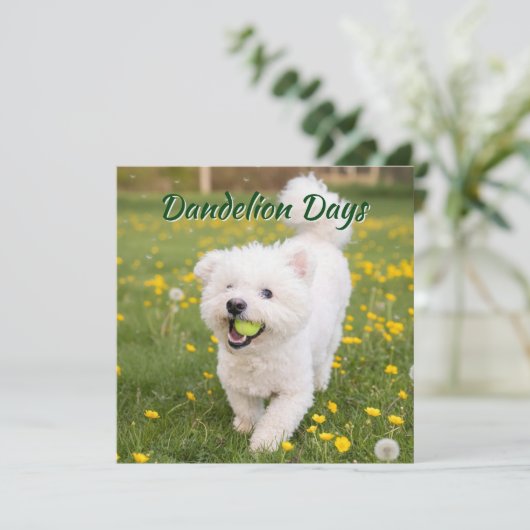 Dandelion Days Karte (Stehend Vorderseite)