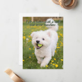 Dandelion Days Mitteilungskarte (Vorderseite/Rückseite Beispiel)