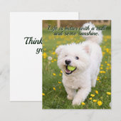 Dandelion Days Mitteilungskarte (Vorne/Hinten)