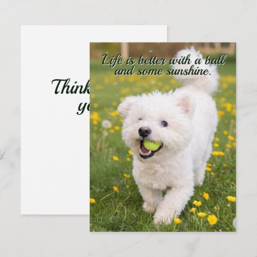 Dandelion Days Mitteilungskarte (Vorne/Hinten)