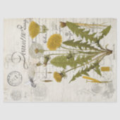 Dandelion Decoupage Tissue Sheet Seidenpapier (Vorderseite)