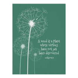 Dandelion Design Poster