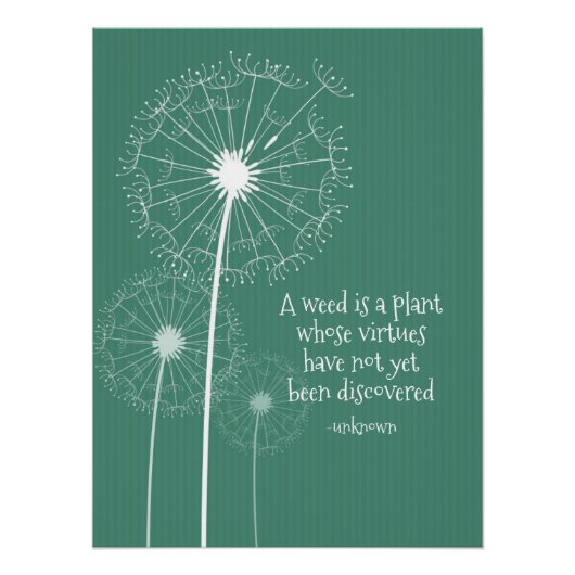 Dandelion Design Poster (Vorderseite)