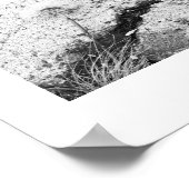 Dandelion Dreams Black and White Fotograf Poster (Ecke)