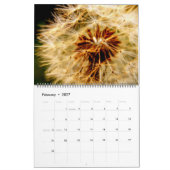 Dandelion Dreams Calendar Kalender (Feb 2027)