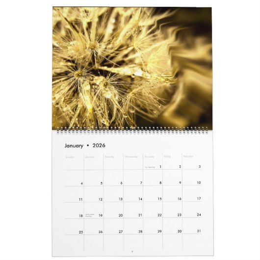Dandelion Dreams Calendar Kalender (Jan 2026)