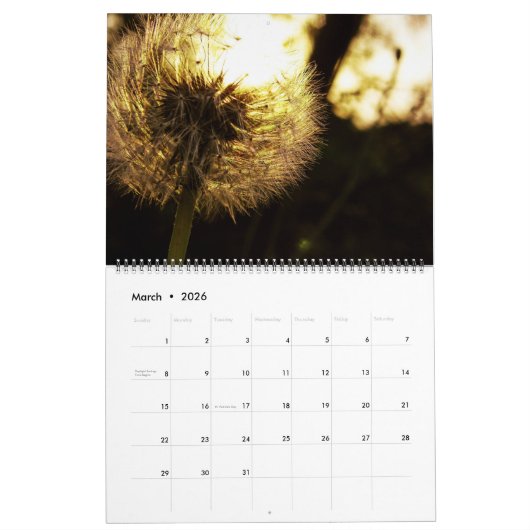 Dandelion Dreams Calendar Kalender (Mär 2026)