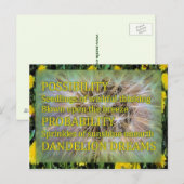 Dandelion Dreams Postkarte (Vorne/Hinten)