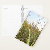 Dandelion Field Bokeh Planer (Anzeige)