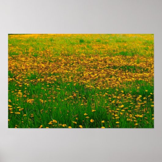 Dandelion Field Poster (Vorne)