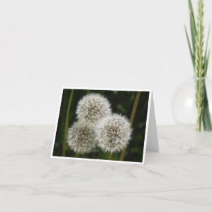 Dandelion Fluff Trio B Note Card Dankeskarte