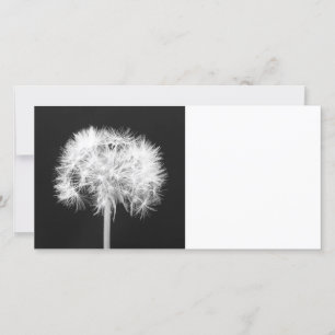 Dandelion-Fotokarte