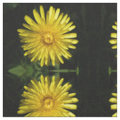 Dandelion Gemustertes Gewebe aus Blumen Stoff (Nahaufnahme)