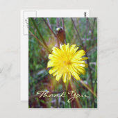 Dandelion Glow Postkarte (Vorne/Hinten)