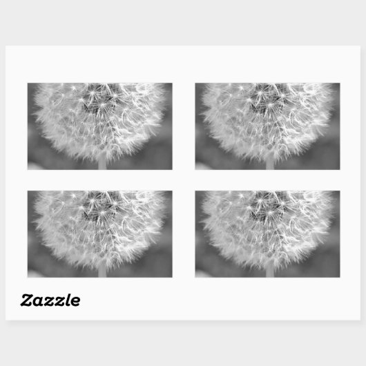 Dandelion Gone to Seed Rechteckiger Aufkleber (Blatt)