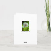 Dandelion Grußkarte Dankeskarte (Rückseite)