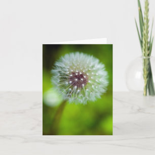 Dandelion Grußkarte Dankeskarte