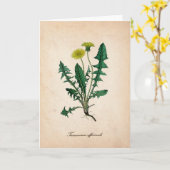 Dandelion-Grußkarte Karte (Gelbe Blume)