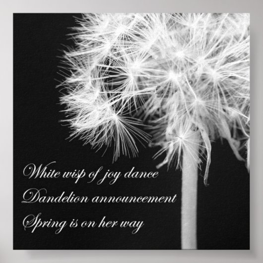 Dandelion Haiku Canvas Print Poster (Vorne)