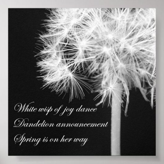 Dandelion Haiku Poster (Vorne)