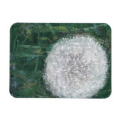Dandelion Head 2008 Magnet (Horizontal)
