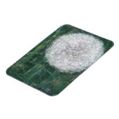 Dandelion Head 2008 Magnet (Linke Seite)