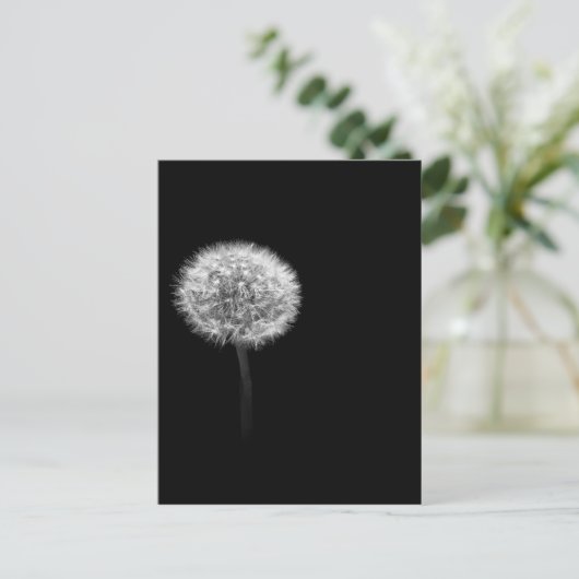 Dandelion Head Postkarte (Stehend Vorderseite)