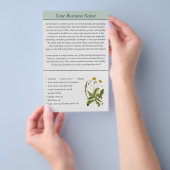 Dandelion Illustration Landscaping Business Flyer (Handgriff)