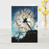 "Dandelion in der Sonne" Geburtstagskarte Karte (Gelbe Blume)