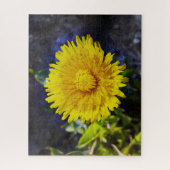 Dandelion in sunlight puzzle (Vertikal)