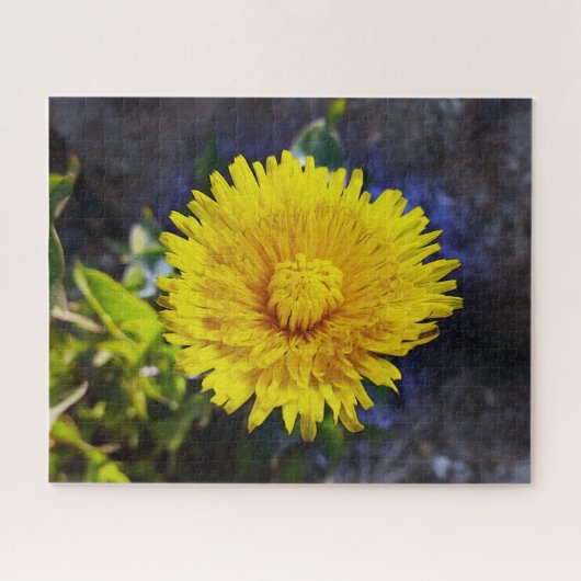 Dandelion in sunlight puzzle (Horizontal)